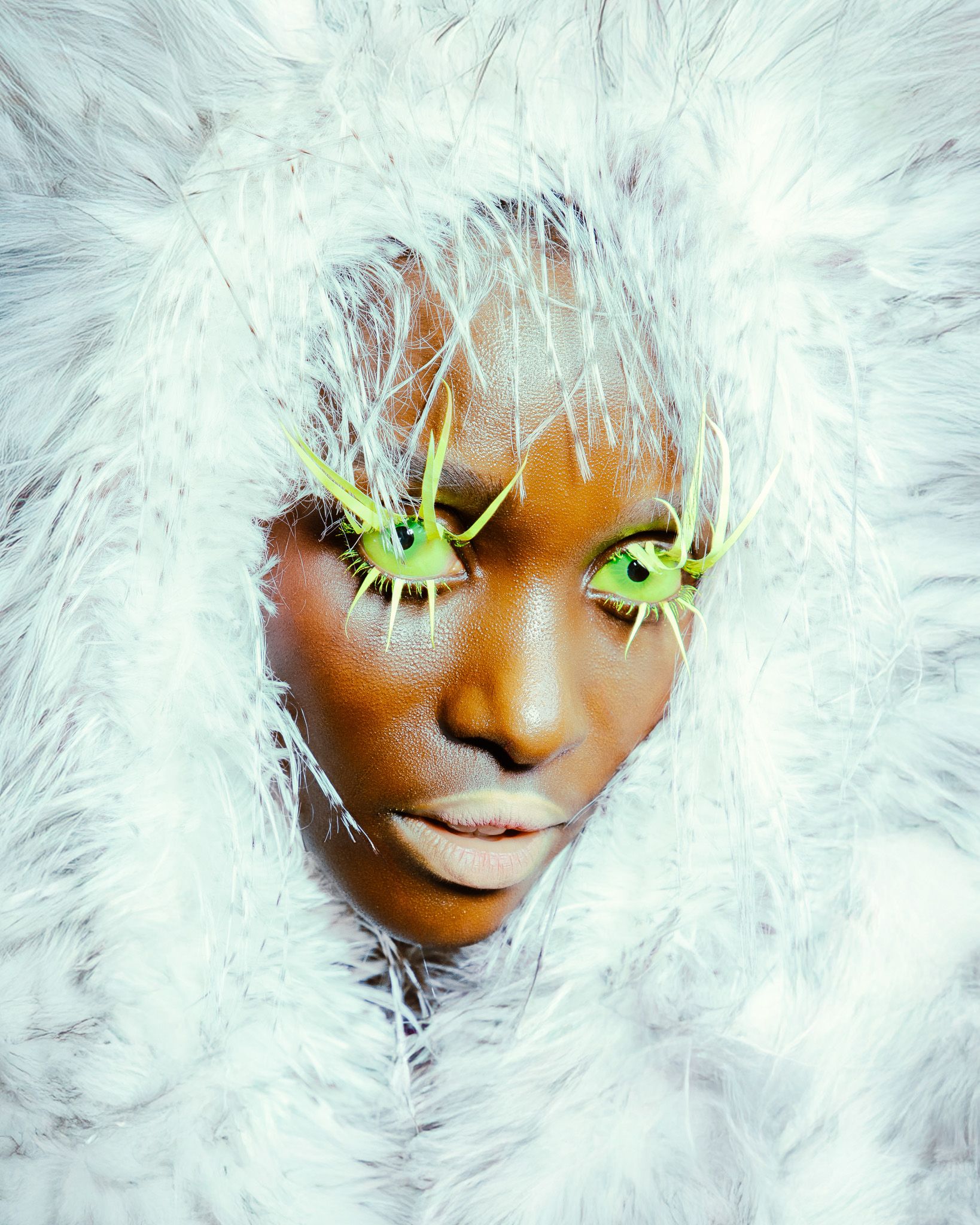 Voltage — Look 14